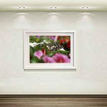 Sell ​​photography artwork فروش آثار هنری سهراب نعیمی فروش آثار عکاسی و میکس مدیا (7)