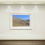 فروش آثار هنری عکاسی سهراب نعیمی Sell ​​photography artwork flower