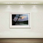 فروش آثار هنری عکاسی سهراب نعیمی Sell ​​photography artwork flower