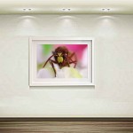 فروش آثار هنری عکاسی سهراب نعیمی Sell ​​photography artwork flower