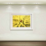 فروش آثار هنری عکاسی سهراب نعیمی Sell ​​photography artwork flower