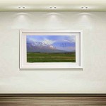 فروش آثار هنری عکاسی سهراب نعیمی Sell ​​photography artwork flower