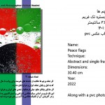 antiwarphotoart photographer galleryart musemart fineart sohrabnaeimiartist سهراب نعیمی عکاس آرتیست نمایشگاه جنگ