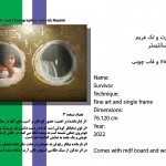 antiwarphotoart photographer galleryart musemart fineart sohrabnaeimiartist سهراب نعیمی عکاس آرتیست نمایشگاه جنگ