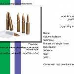 antiwarphotoart photographer galleryart musemart fineart sohrabnaeimiartist سهراب نعیمی عکاس آرتیست نمایشگاه جنگ