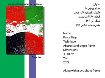 اثر {صلح پرچم ها} از جمله آثار به ثبت رسیده عکاسی سهراب نعیمی در ژانر ضد جنگ